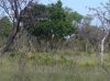 P1020100.jpg