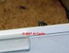 dsc04242isqi6.jpg