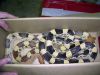 SA400761.JPG