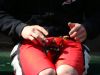 DSC05547.JPG