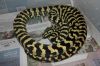 01-2012-2YearJungle.JPG