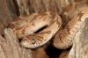 Lephalale_sml_5.JPG