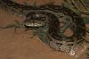 Lephalale_sml_7.JPG
