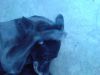 DSC00012.JPG