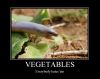 Vegetables.JPG