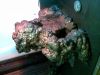 28042009.jpg