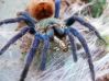 GBB_20090523_1.jpg
