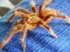 OBT_20090523.jpg