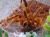 OBT_20091017_1.JPG