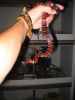 Picture_442_(450_x_600).jpg