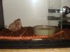 DSC04255.JPG