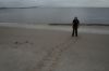 Turtle_tracks_WKlein09.JPG