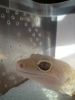 DSC00316.JPG
