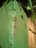 DSC00335_2.jpg