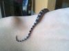 12032010058.jpg
