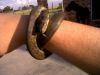 IMG00073-20100202-1751~0.jpg