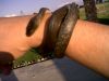 IMG00074-20100202-1751~0.jpg