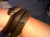 IMG00075-20100202-1752~0.jpg