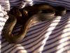 IMG00076-20100202-1758~0.jpg