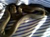 IMG00079-20100202-1758~0.jpg