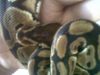IMG00172-20100414-1706.jpg