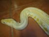 DSC01073.JPG