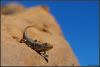 DSC_8743WEB.jpg