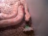 IMG00057-20120806-2142.jpg