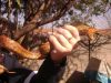 DSC02139.JPG